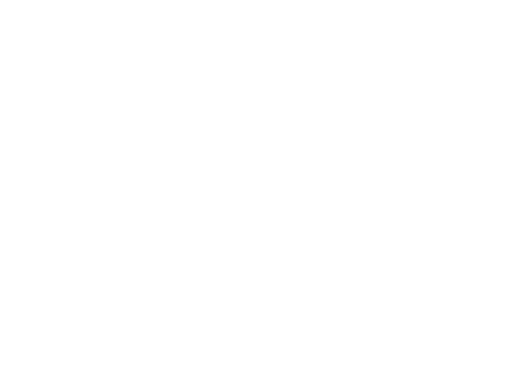 06 Ford