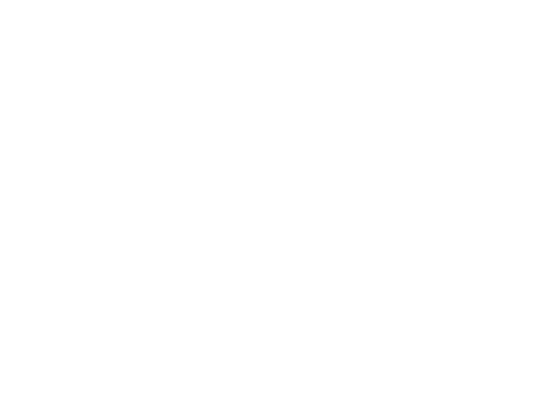 11 PRYSMIAN GROUP